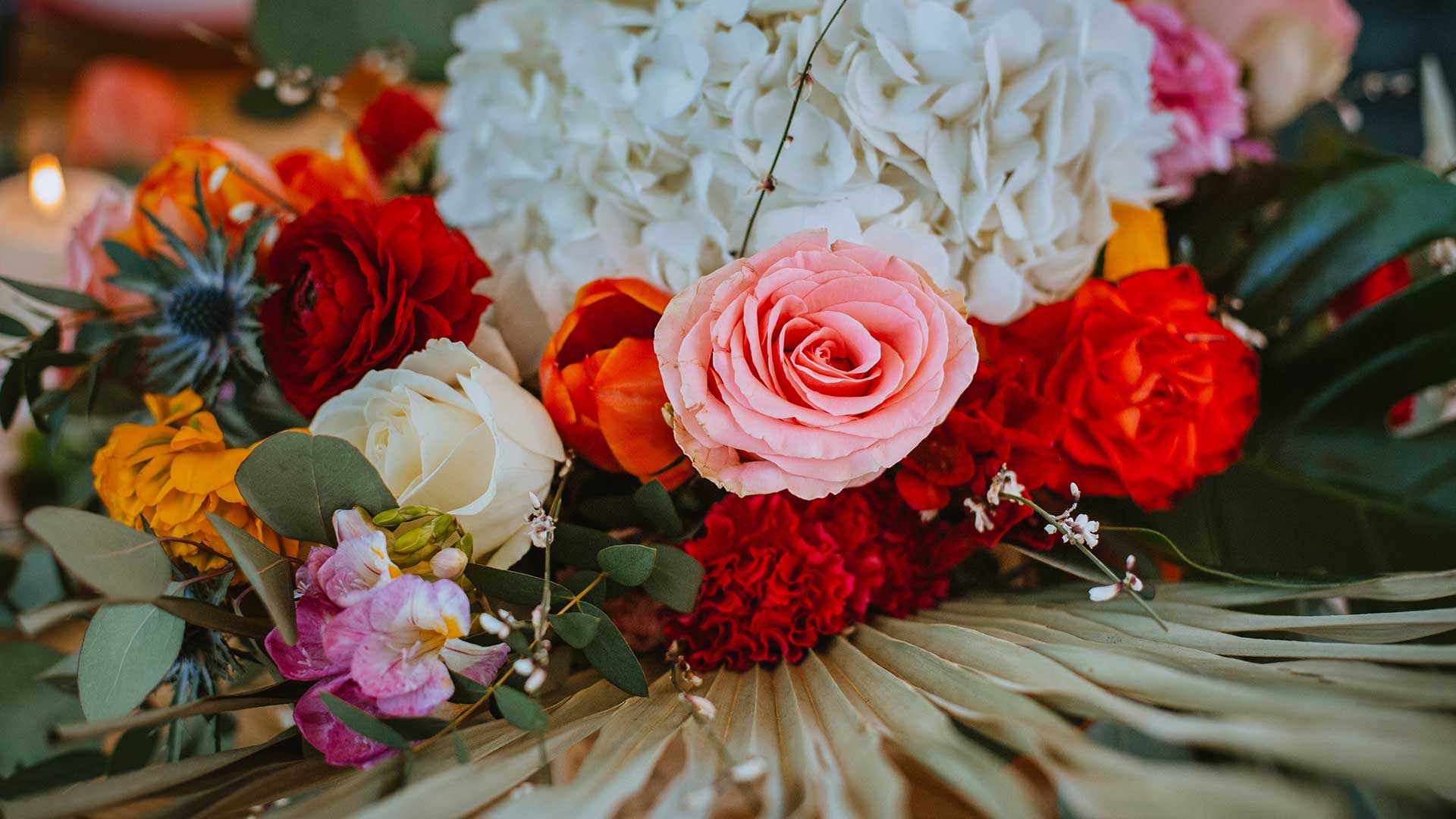 Détail de fleurs colorées l'ensemble préparé dans le cadre d'une organisation de mariage